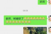 娱乐吃瓜君论文,揭秘娱乐圈幕后真相与八卦风云